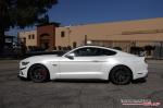 Ford Mustang GT by Impressive Wrap 2016 года